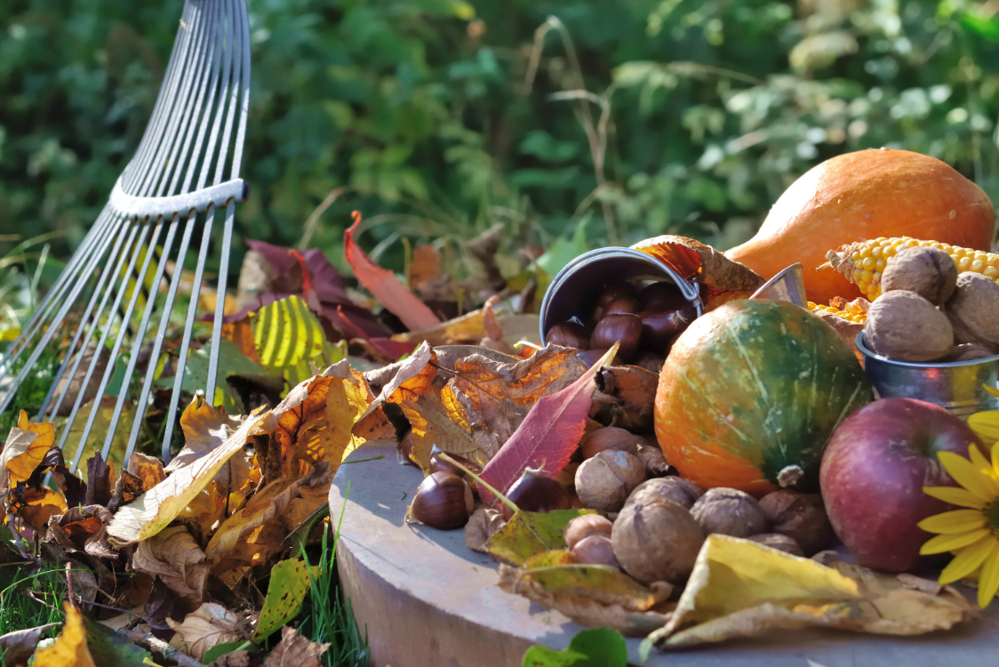 Jesień w ogrodzie – jakie prace należy wykonać?
